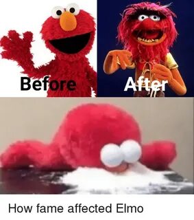 50+ Funny Elmo Memes That Will Make You Laugh