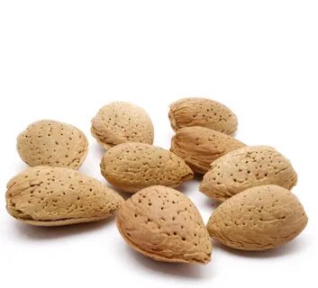 Organic Inshell Almonds (1 Pound) - Buy Online!