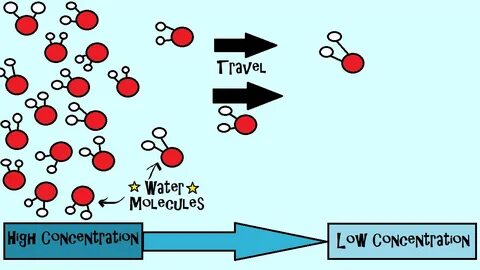 Osmosis is a type of diffusion, meaning molecules (in this c