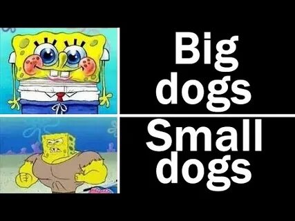 Memes My Dog Tried To Eat Nightly Juicy Memes #250 - YouTube