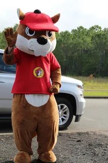 Buc-ee's first travel center in Florida breaks ground in Day
