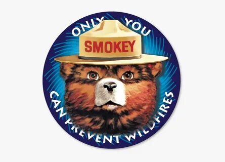 Previous - Smokey The Bear , Transparent Cartoon, Free Clipa