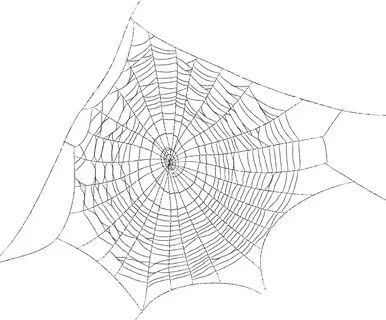 cobweb png - Spider Web Silk Clip Art Painted - Паутина Пнг 