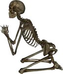 Download Skeleton PNG Image with No Background - PNGkey.com