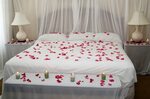 simple bedroom decoration for valentines day with rose petal