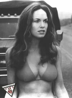 Catherine Bach - 15 photos