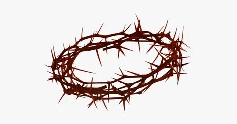 Thorns Crown Png Clipart - Crown Of Thorns Transparent Backg