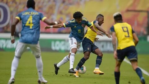Colombia vs Ecuador Preview, Tips and Odds - Sportingpedia -
