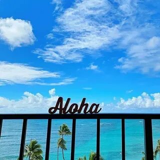 Aloha (@aloha) — Instagram