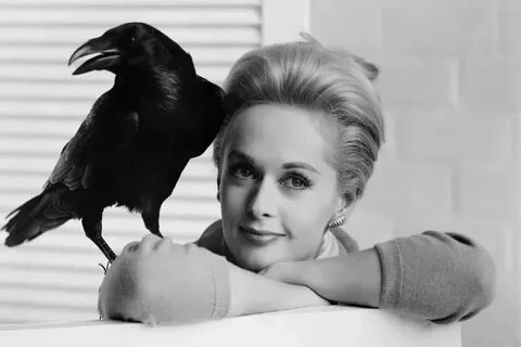 Tippi Hedren - Attrice - Biografia e Filmografia - Ecodelcin