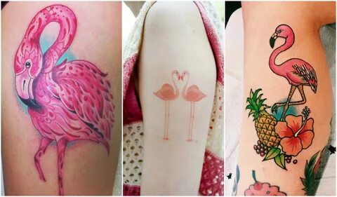 Interesting Things About Flamingo Tattoo You Must Know - Top