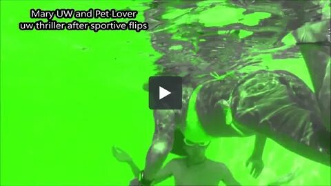 Sharkyfriend On Twitter B32