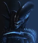 Xenomorph XX121 Alien Wiki Fandom