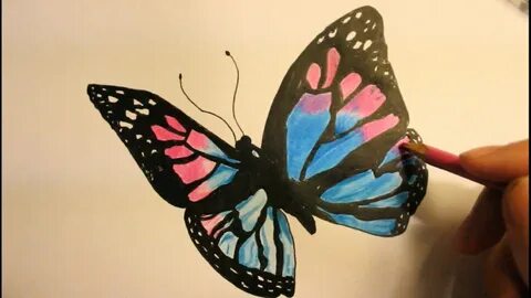 Step By Step 3D Butterfly Drawings In Pencil / 3D butterfly 