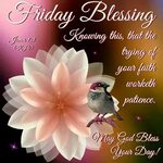 Friday Blessing Good morning friday, Blessed friday, Good mo