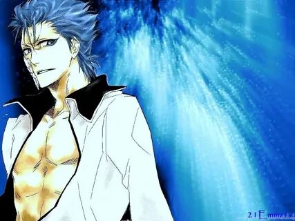 Grimmjow ♥ Grimmjow Jeagerjaques Wallpapers (25526390) Fanpo