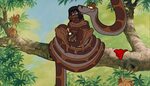 Kaa And Mowgli Blowjob - Free porn categories watch online