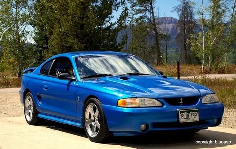 Bright Atlantic Blue 1998 Ford Mustang SVT Cobra Coupe - Mus