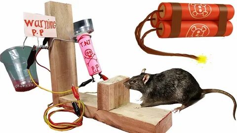 Easy mouse traps Part 21 - 1001 way of catching the mouse-Pi