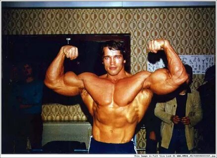 Арнольд Шварценеггер (Arnold Schwarzenegger), фотографии, би