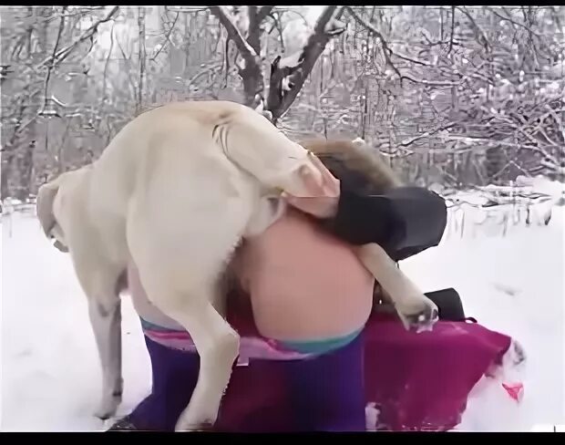 Vídeo de mulher fazendo sexo com cachorro