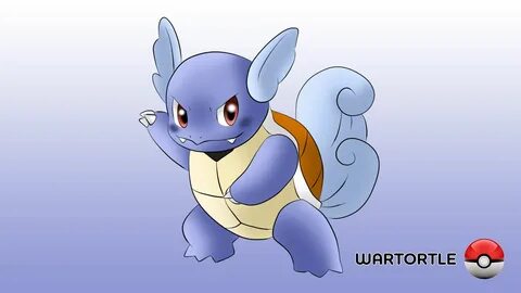 Wartortle Wallpapers Wallpapers - All Superior Wartortle Wal