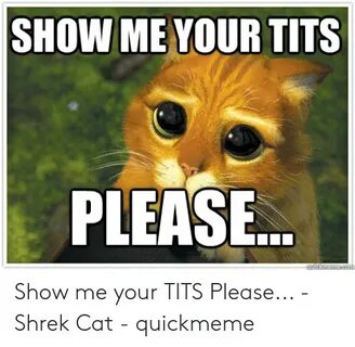 🐣 25+ Best Memes About Show Me Your Tits Meme Show Me Your T