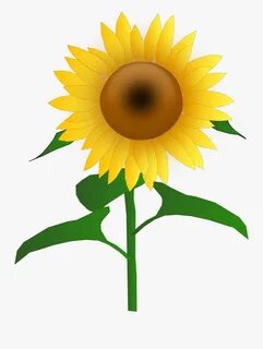 Sun, Flower, Cartoon, Border, Bloom, Plant, Sunflower - Clip