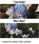 I Love Emilia Who's Rem? I Need to Watch This Anime Anime Me