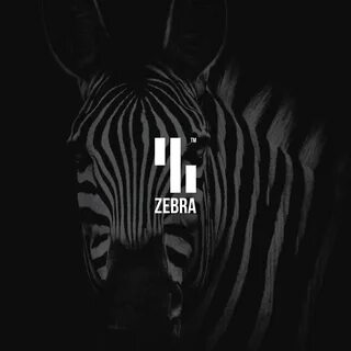 Zebra on Behance