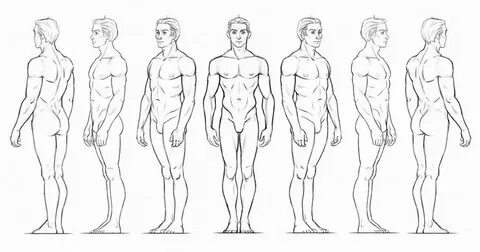 Character Anatomy Male Character design references, Man anat