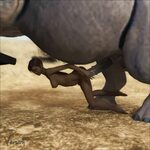 Xxx Elephant Videos Sex Pictures Pass