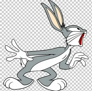 Bugs Bunny Elmer Fudd Looney Tunes Daffy Duck PNG - bugs bun