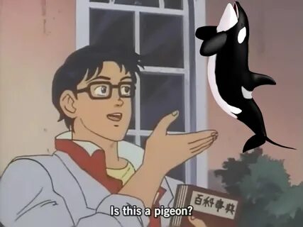 Image #912295 Is This a Pigeon? Know Your Meme