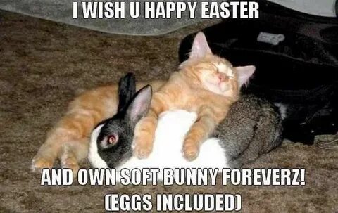 52 Funny Easter Memes That Will Make Your Holiday Funny east
