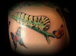 Caterpillar tattoo Cody Schneider Flickr