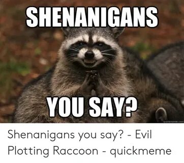 🐣 25+ Best Memes About Shenanigans Meme Shenanigans Memes
