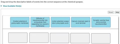 Solved Drag and drop the descriptive labels of events into C