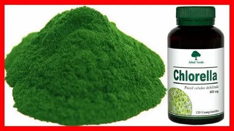 Que es la Chlorella y Para Que Sirve - YouTube