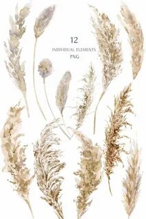 Pampas Grass Clipart Set. Boho Watercolor Wreaths Bohemian E