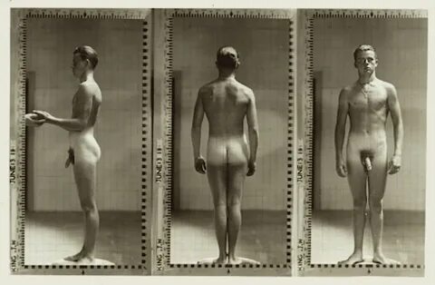 The Unashamed Male: Ivy League Posture Photos