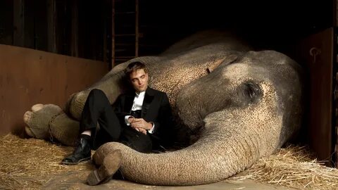 Robert Pattinson Close to Elephant 1680 x 945 HDTV Wallpaper