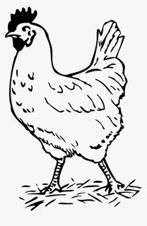 Clipart Black And White Chicken - Hen Black And White, HD Pn