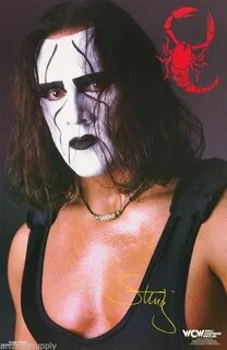 Wrestling WCW Sting Makeup Poster Sting wcw, Makeup poster, 