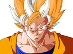 Cyber Super Saiyan Ultra Dragon Ball Wiki Fandom