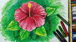 How to draw a hibiscus flower with oil pastel step by step -