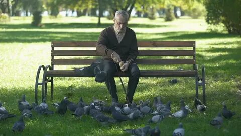 calm old man sitting on bench: стоковое видео (без лицензион
