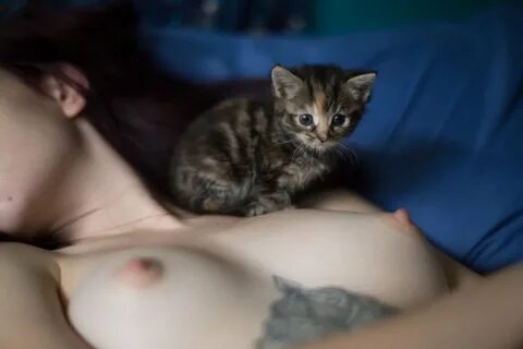 Cat Erotic - 42 porn photo
