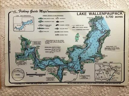 Lake Wallenpaupack Fishing Map Fishing Sports & Outdoors cim