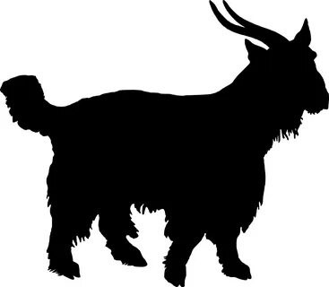 Images of Boer Goat Silhouette - #golfclub